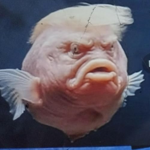 MICHAEL COHEN'S LATEST MEA CULPA PODCAST! COHEN'S HAD IT WITH TRUMP & MAGA NONSENSE! Podcast Por  arte de portada