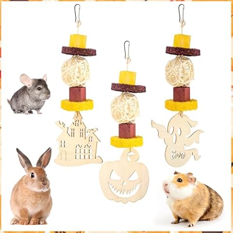 Abizoo Halloween Guinea Pig Chew Toys,3 Pcs Rabbit Toys Hamster Bunny Treats Wood for Chinchilla Rat Chew Toys Hanging Halloween Themed Decor Cage Accessories for Small Animals Teeth Enrichment Gifts Cover