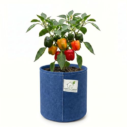 Image of 400 GSM Geo Fabric Round Grow Bags 6x6 Inch, Blue Planting Bags for Terrace and Kitchen Gardening Pack of 1