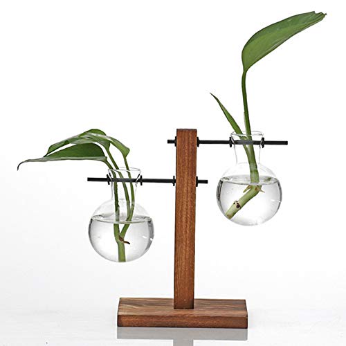 Kingbuy Hydroponic Glass Vase Vintage Desktop Plant Terrarium Planter Bulb Vase Water Planting Propagation Vase Planters Hydroponics Plants with Retro