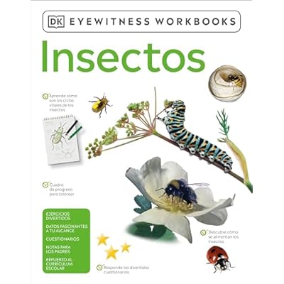 Insectos