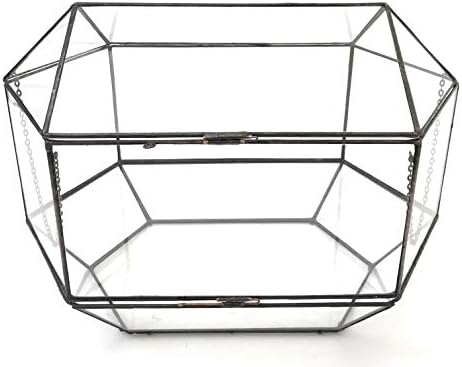 Lenka's Terrrariums Terrarium Plants UK Geometric Glass Pot Cacti Succulent Wedding Box with Lid & Storage Compartment Handmade in England (Mega, Black)