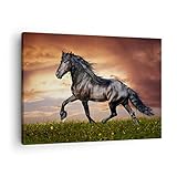 TAMAÑO TOTAL: 70 cm x 50 cm. Número de elementos - 1. Los gráficos estéticos serán un gran elemento decorativo en tu hogar. Tú decides en qué habitación colgar el cuadro: Cuadro en lienzo para la oficina, Cuadro en lienzo para el comedor, Cuadro en lienzo para la cocina, Cuadro en lienzo para el baño, Cuadro en lienzo para la habitación de los niños, Cuadro en lienzo para la habitación juvenil, Cuadro en lienzo para la vida habitación, Cuadro de lienzo para el dormitorio.