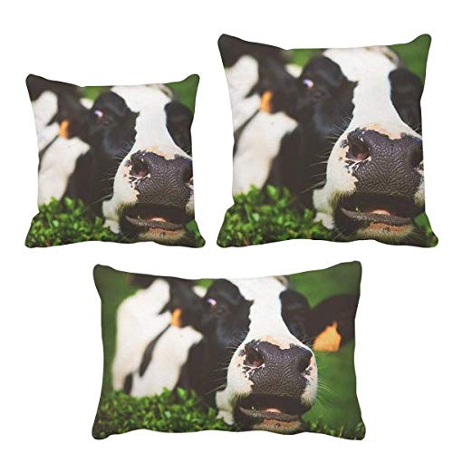 Coussin de décoration motif vache avec housse textile durable - 2