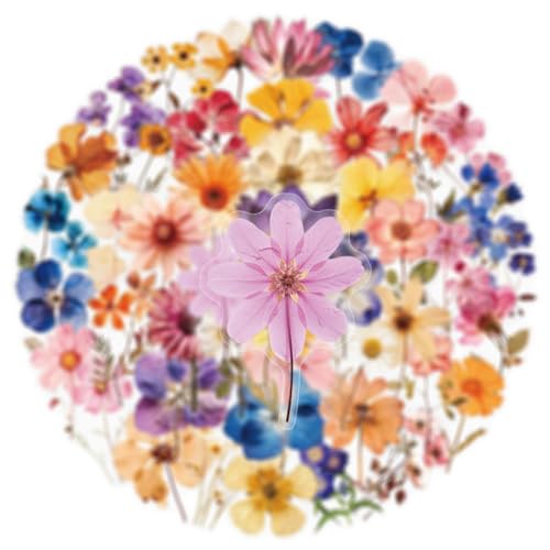 Image of 50PCS Transparent Flora Scrapbook Stickers, Vintage Aesthetic Flowers Sticker for Scrapbooks Travel Journal, Vinyl Waterproof for Water Bottles Laptop Phone Scrapbook Supplies DIY Crafts, (Flower-C)