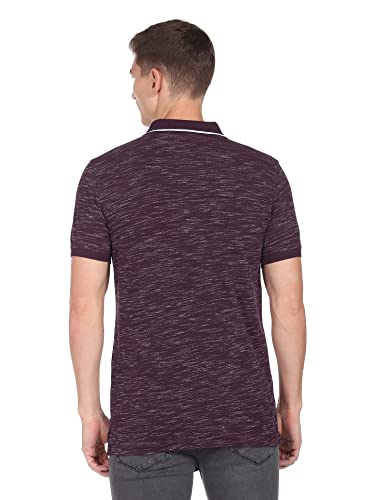 Image of Arrow Men's Cotton Solid Regular Fit Polo Shirt
