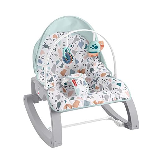 Fisher-Price Deluxe Infant-to-Toddler Rocker Seat - Pacific Pebble, Multi