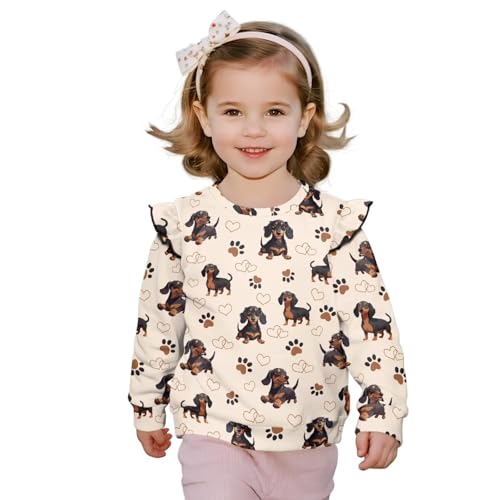 Xhuibop Toddler Girl Clothes Ruffle Long Sleeve Shirts Fall Sweatshirt Casual Tops for Travel Camping Holiday