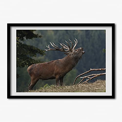 Cadre photo 70x50 cm Tulup avec affiche de cerf sur la colline pour salon moderne