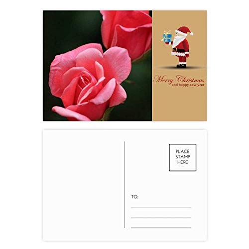 Cartes postales roses pour accompagner vos cadeaux - Pack de 20 pièces