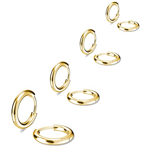 Image of 316L Surgical Stainless Steel Small Hoop Earrings 8mm 10mm 12mm 14mm Hypoallergenic Huggie Hoop Earrings Helix Lobes Hinged Sleeper Earrings Men Women for Cartilage Piercings