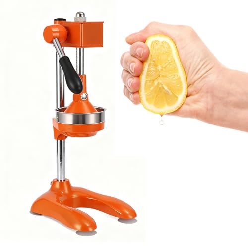 ʏ` i  X[ W[T[ 蓮 nh ڂ 蓮W[T[ t[cڂ kރtbVW[T[ ʏ`  W[Xi ƒp Ɩp(Size:7.08*9.05*17.71in,Color:IW)