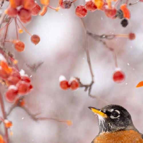 NSS Daily Headlines, March 2, 2026