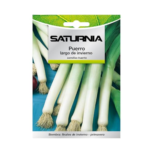 Semillas Puerro Largo De Invierno (3 gramos) Semillas Verduras, Horticultura, Horticola, Semillas Huerto.