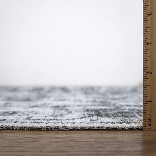 Bloom Rugs Caria Washable Non-Slip 4X6 Rug - Silver/Dark Gray Area Rug For Living Room, Bedroom, Dining Room And Kitchen - Exact Size: 4' X 6' #TOP6