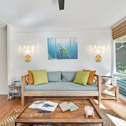 Image of 5 inch Tulip Glass Wall Sconces 180 Degree Adjustable Brass Wall Light Hradwired Modern Wall Lighting Fixture with Switch for Bedside Bedroom Doorway Reading Nook