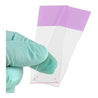Globe Scientific Diamond 1358L White Glass Charged Microscope Slide, 25 x 75mm Size, Ground Edges, Lilac Frosted 1,440 slides