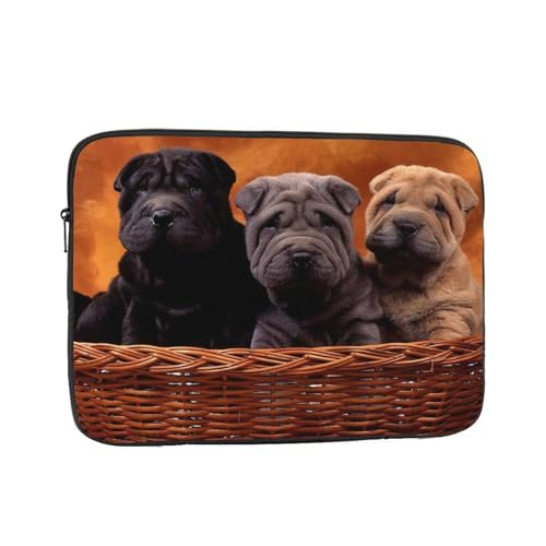 Ή V[yCq 13 Inch PcP[X Pc[Jo m[gpc P[X rWlX 