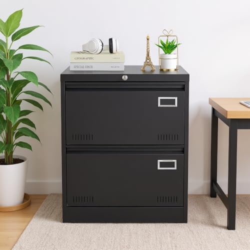 Lockable 2-Drawer Metal File Cabinet for Office