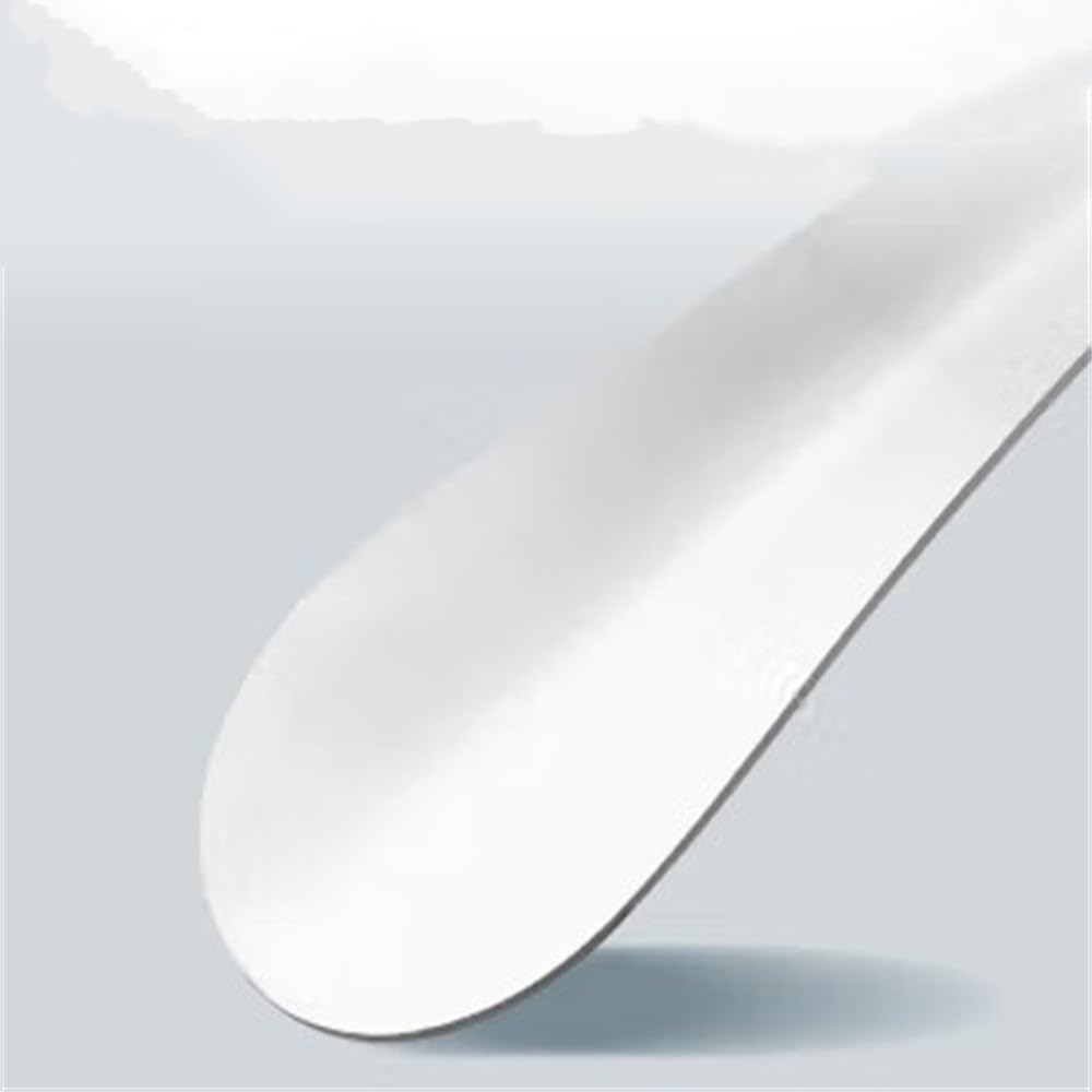 QUNINE Calzador de Acero Inoxidable con Mango Largo, Calzador Que no se dobla para Adultos, niños y Personas Mayores (Plata, 72x4,3 cm)