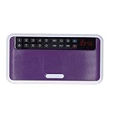 Weikeya Multifunktional tragbar Außen Lautsprecher, MP3/WMA/Wav mit Abs Speicher Karte 3w+3w