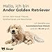 Steiff Kuscheltier Andor Golden Retriever, Süßes Stofftier mit Kunststoffaugen, Kinder, Jungen & Mädchen, Plüschtier 45 cm, Hellbraun, 076947