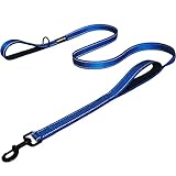 Dog Leash 6ft Long - Traffic Padded Two Handle - Heavy Duty - Double Comfortable Handles Lead for Control Safety Training - Leashes for Large Dogs or Medium Dogs - Pet Leash Dual Handle (Blue)
