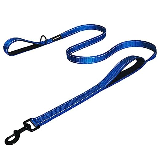 Dog Leash 6ft Long - Traffic Padded Two Handle - Heavy Duty - Double Handles Lead for Training Control - 2 Handle Nylon Leashes for Large Dogs or Medium Dogs - Reflective Pet Leash Dual Handle (Blue)