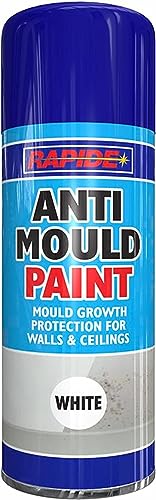 How to remove algae from fence before painting How to remove algae from fence before painting