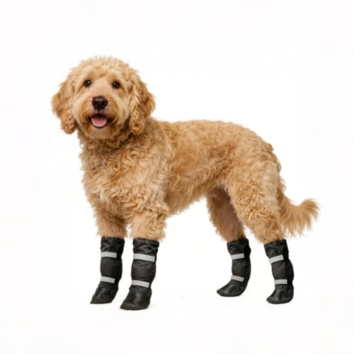 Bottes NAMSAN pour chiens de taille moyenne et grande, 4 pièces Taille 3 (M), Bottines imperméables, Bottes d'hiver antidérapantes pour chiens de taille moyenne, Chaussures de marche pour chien pour