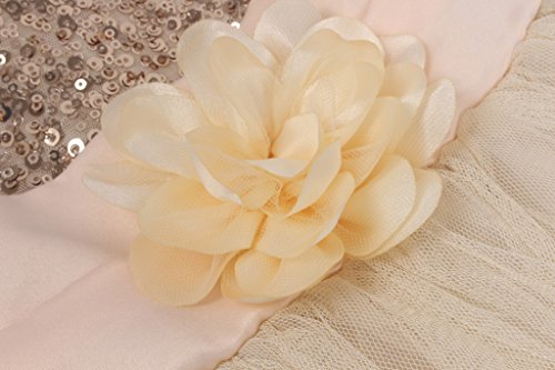 JerrisApparel Petite Fille Paillette Fête Fleur Robe de Cérémonie Bal Banquet Tulle (3 Ans, Champagne) – vue 2
