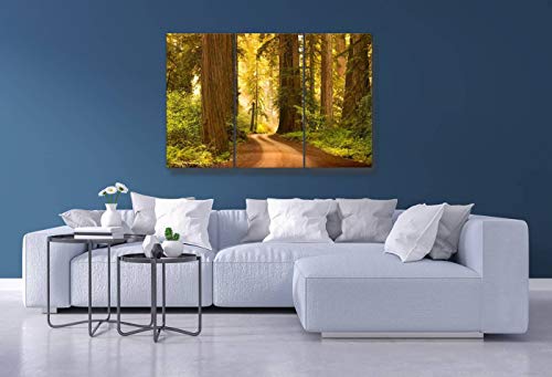 Dirt Road Through Redwood Trees In The Forest Sequoiass And Pictures Wall Artwork Exclusive Photography Vintage Abstract Paintings Print On Canvas Home Decor Wall Art 3 Panels Framed Ready To Hang #TOP2