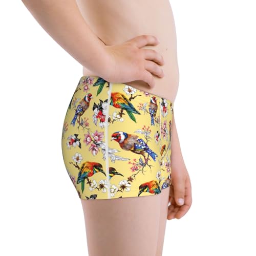 Boys' Cotton Boxer Brief Soft Underwear-Bright Birds2