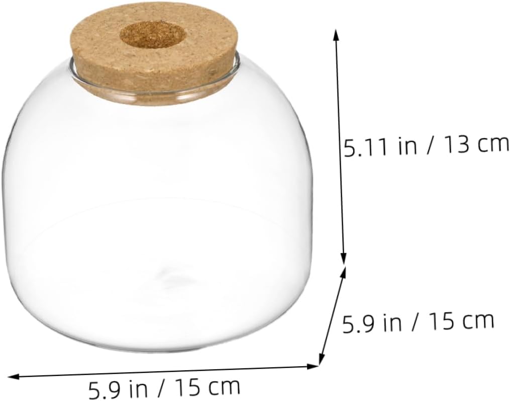 2pcs Landscape Glass Terrarium Bottle with Cork Stopper Stylish Moss Plant Decor for Indoor Gardening Easy Maintenance Decorative Glass Jar for Plants and Landscapes