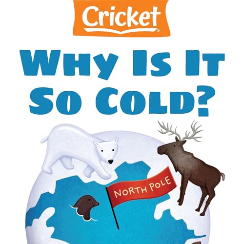 Why Is It So Cold? by Amy Tao episode artwork