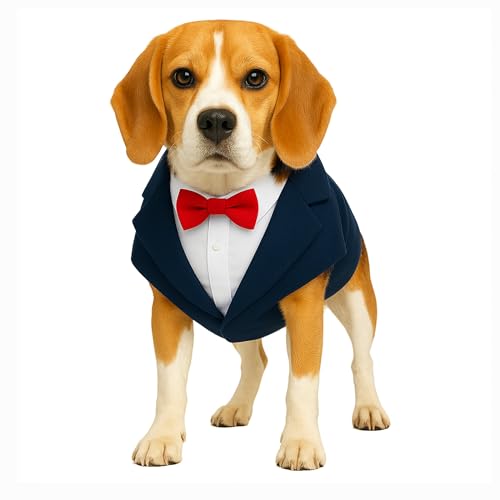 Image of Buraq Premium Dog Wedding Suit, Elegant Tuxedo with Bow Tie & Bandana, Comfortable, Washable Outfit for Dogs (M - Blue)