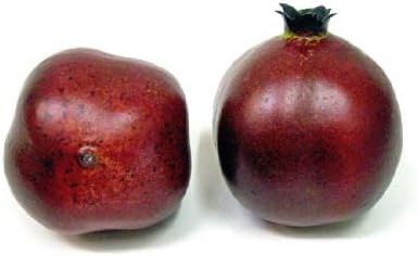 Artificial Pomegranate, Burgundy