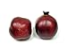 Artificial Pomegranate, Burgundy