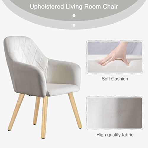 Wolmics Velvet Dining Chairs Set Of 2 Leisure Modern Living Room Chairs With Wooden Legs, Kitchen Chair Modern Upholstered Accent Chairs Armchairs Desk Chair Side Chair For Bedroom Office, 300Lbs #TOP3