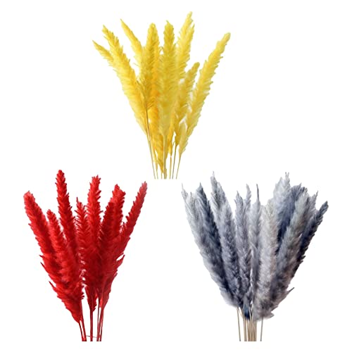 45 Peças de Flores Secas de Junco de Dos Pampas para Vaso para Decoração Adereços Fotográficos