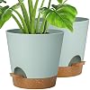 QUALY Oasis Hill QLX20001-GN Pot de Fleurs avec système d'auto-arrosage