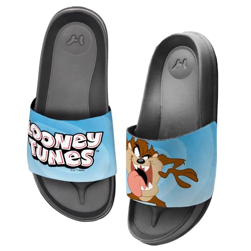 Popfunk Looney Tunes Taz Circle Unisex Adult Slides Adjustable Flip Flop Sandals Officially Licensed Hypd Slydr Switch™3
