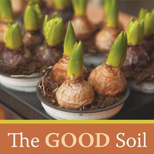 TGS - Sacred Secular Divide Podcast Por  arte de portada