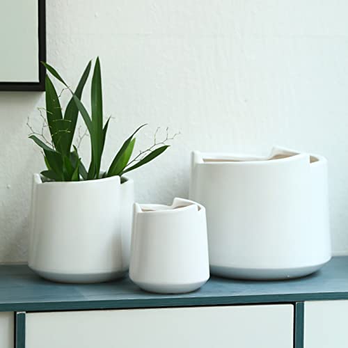 Conteneurs modernes pour succulentes pour décoration de bureau - 8