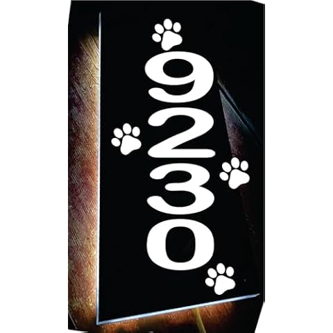 Custom House Address Plaque, LED illuminated Door# and Street Name Sign, Premium Quality, Stylish and Durable (11"x7" Rectange, White LED) Cover