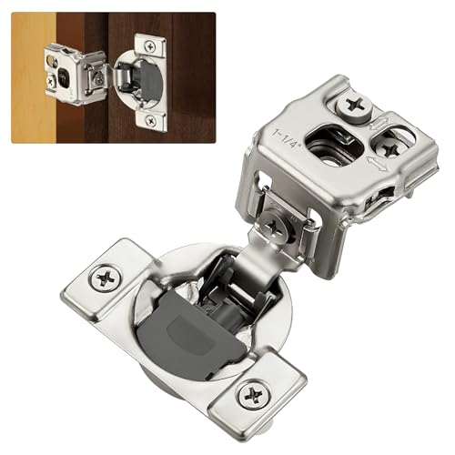 Home Expert (z[GLXp[g) 30pbN (15g) 1-1/4C` I[o[C \tgN[Y LrlbgqW TejbP XeXX`[ BqW 3DZtN[Y tFCXt[hA&Lb`p