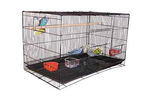 AVI CRAVE Bird Iron cage Large 2.5 feet for Budgies,Finches,Love Birds,Cocktails,Conures,and Other Birds