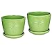 MyGift Decorative Planter Pot, Set of 2 - Cute Green Daisy Burst Design 5 Inch Ceramic Plant Flower Pots with Attached Saucers