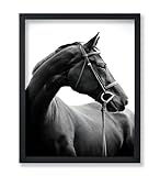 Poster Master Horse Poster - Portrait Print - Photo Art - Black & White Artwork - Animal Illustration - Pony Design - Minimal Artwork - Living Room or Bedroom Wall Decor - 8x10 UNFRAMED