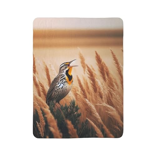 Cozy Fleece Sherpa Blanket - Meadowlark Sings from The Tall